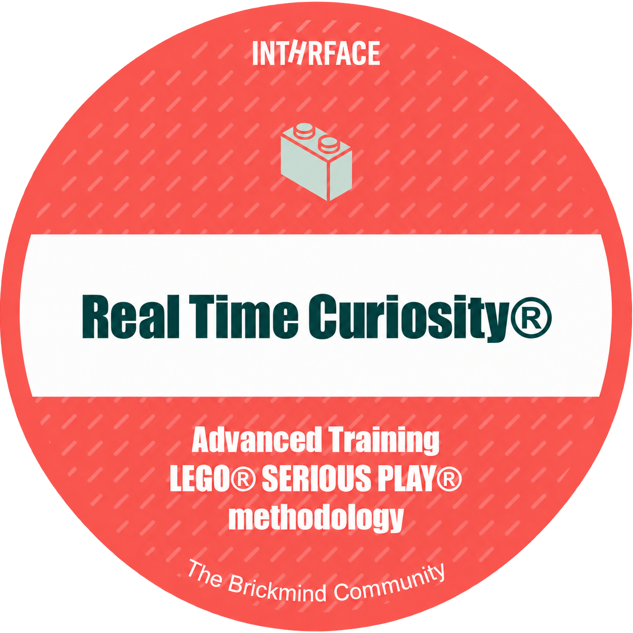 LEGO® Serious Play® <br>Facilitator Certification